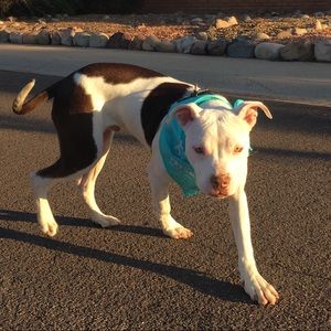 Meet your Posher, Salina